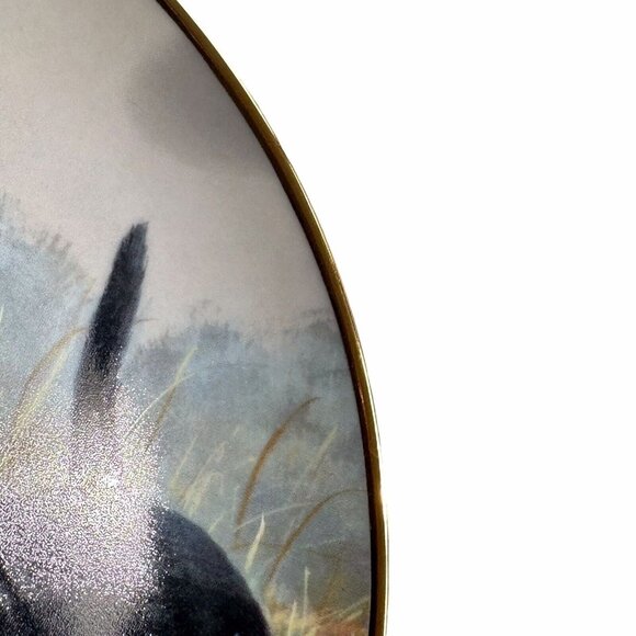 Franklin Mint 1991 Beginners Luck Labradors Porcelain Plate Collectible Vintage - Picture 5 of 6
